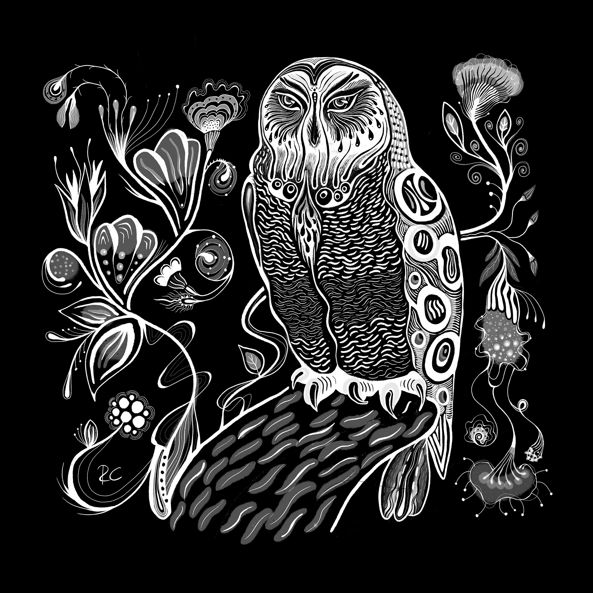 Tree owl