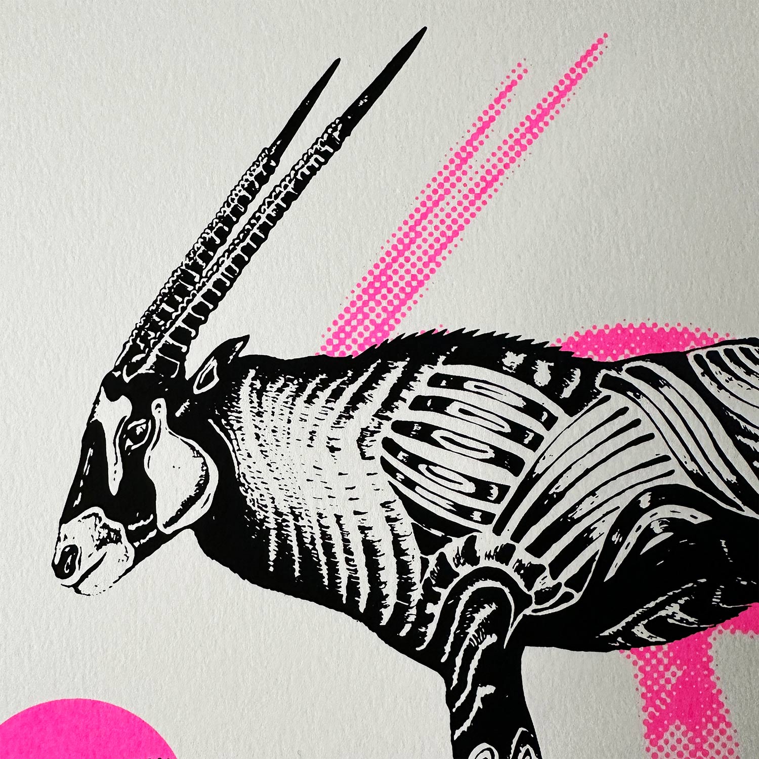 oryx antilope screenprint detail shot