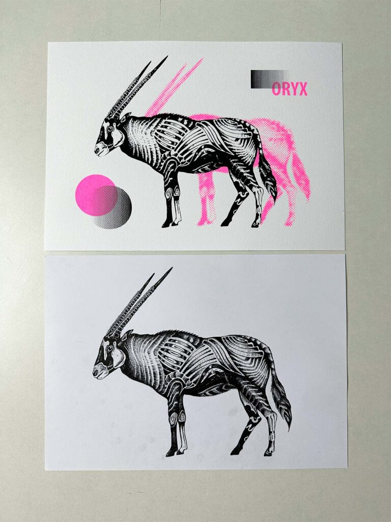 original drawing of oryx and the final screen print of the vectorized oryx